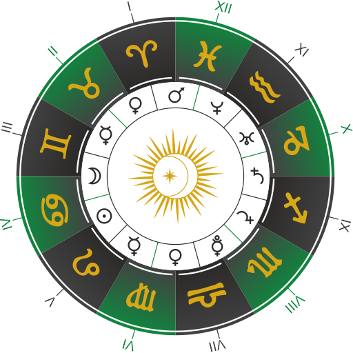 Natal chart wheel illustration